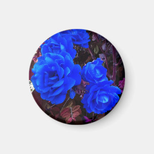 Elektrisch blauwe Rozen Magneet