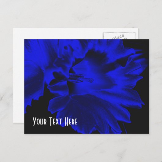 Elektrisch Briefkaart van Daffodil (Voorkant / Achterkant)