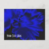 Elektrisch  Briefkaart van Daffodil (Voorkant)