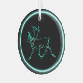 Elektrisch Caribisch gebied Glas Ornament (Voorkant links)