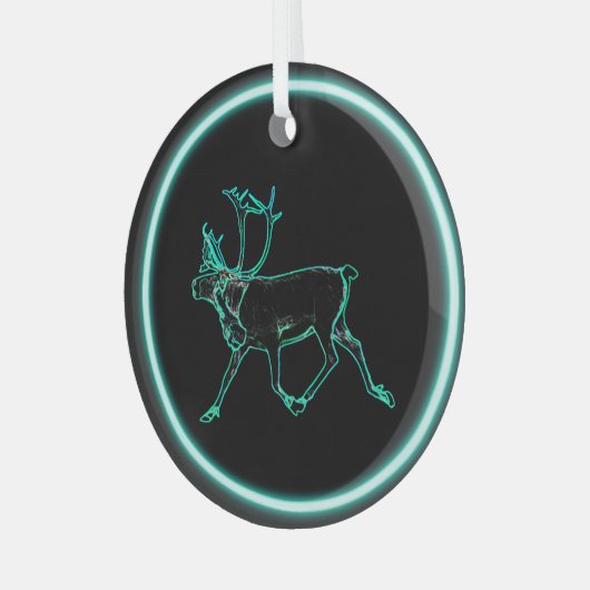 Elektrisch Caribisch gebied Glas Ornament (Voorkant links)