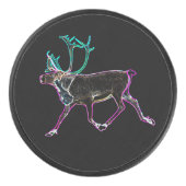 Elektrisch Caribisch gebied Hockey Puck (Voorkant)