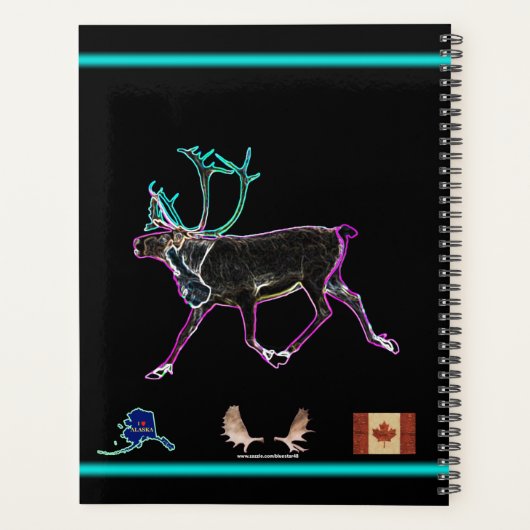 Elektrisch Caribisch gebied Planner (Achterkant)