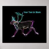 Elektrisch Caribisch gebied Poster (Voorkant)