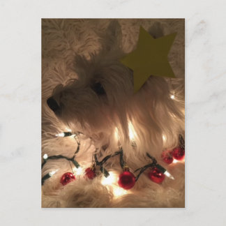 Elektrisch licht website briefkaart