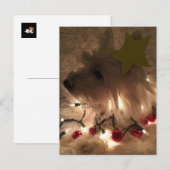 Elektrisch licht website briefkaart (Voorkant / Achterkant)