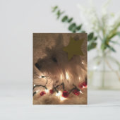 Elektrisch licht website briefkaart (Staand voorkant)