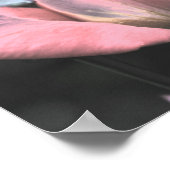 Elektrisch Roze Roosknop Abstracte Bloem Kunst Poster (Hoek)