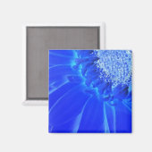 elektrische blauwe gerbera magneet (Voorkant / Achterkant)