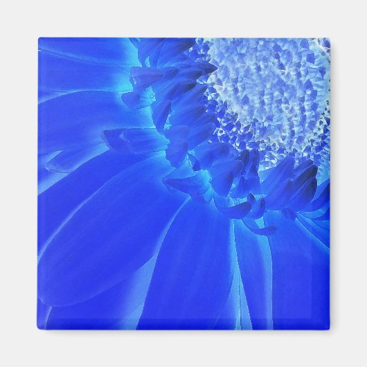elektrische blauwe gerbera magneet (Voorkant)