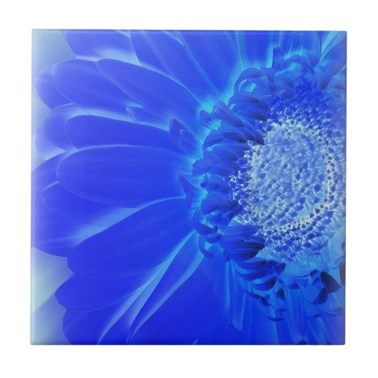 elektrische blauwe gerbera tegeltje (Voorkant)