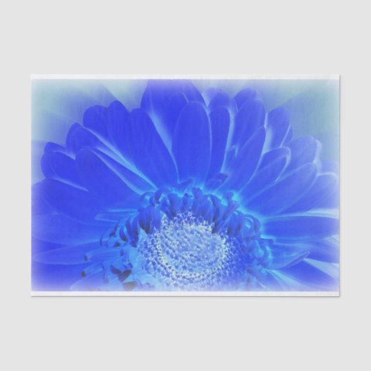 elektrische blauwe gerbera tissuepapier (Voorkant)