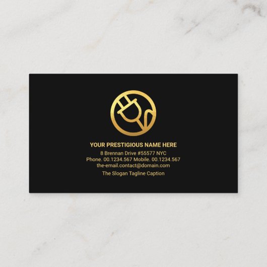 Elektrische bliksem voor thuisgebruik visitekaartje (Achterkant)