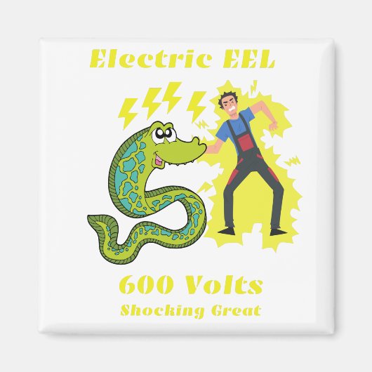 Elektrische EEL Magneet (Voorkant)