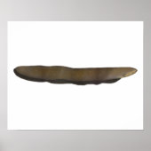 Elektrische el poster (Voorkant)