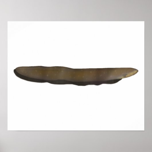 Elektrische el poster (Voorkant)