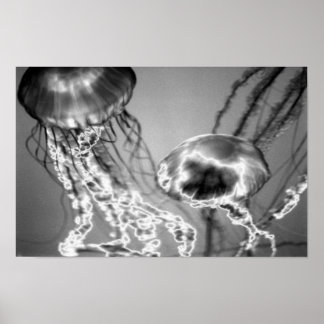 Elektrische gelei poster