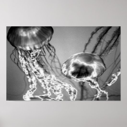 Elektrische gelei poster (Voorkant)