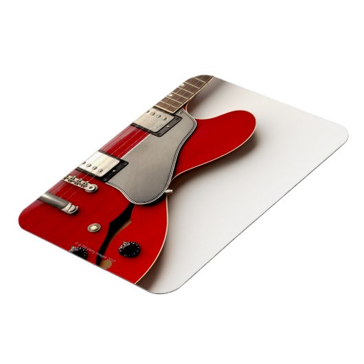 Elektrische gitaar 12 magneet (Linkerzijde)