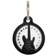 Elektrische Gitaar Rockmuziek Cool Zwart Wit Aange