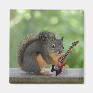 Elektrische gitaar spelen magneet