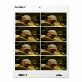 Elektrische katvis etiket (Full Sheet)