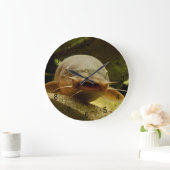 Elektrische katvis grote klok (Huis)