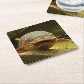 Elektrische katvis kartonnen onderzetters (Schuin)