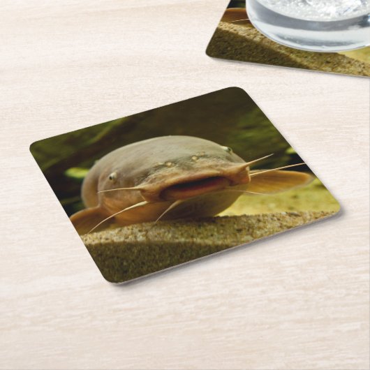 Elektrische katvis kartonnen onderzetters (Schuin)