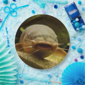 Elektrische katvis papieren bordje (Feest)