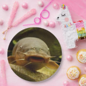 Elektrische katvis papieren bordje (Feest)