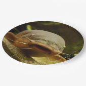 Elektrische katvis papieren bordje (Gekanteld)