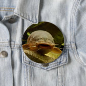 Elektrische katvis ronde button 4,0 cm (In situ)