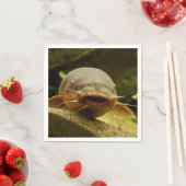 Elektrische katvis servet (Insitu)