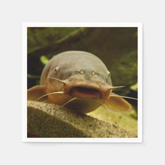 Elektrische katvis servet (Voorkant)