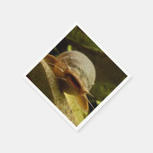 Elektrische katvis servet (Hoek)