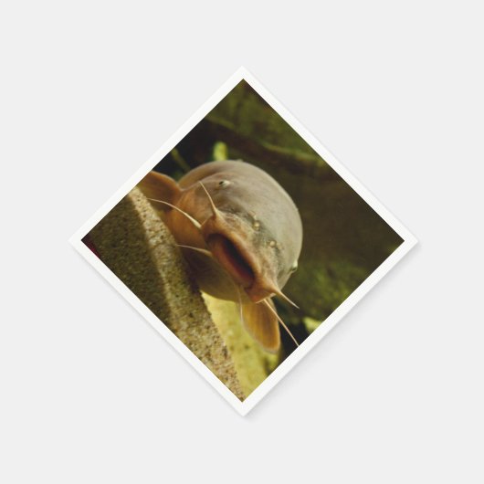 Elektrische katvis servet (Hoek)