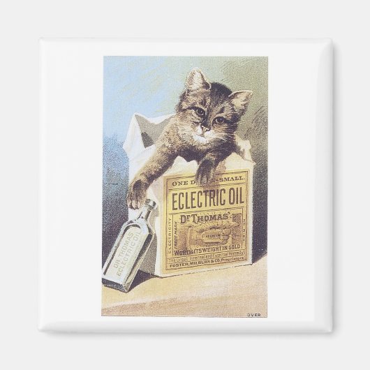 Elektrische oliecat magneet (Voorkant)