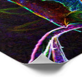 Elektrische Rosebud Flower Art Poster (Hoek)