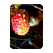 Elektrische Vlieg Agarisch Koelkast Magneet (Amani (Verticaal)