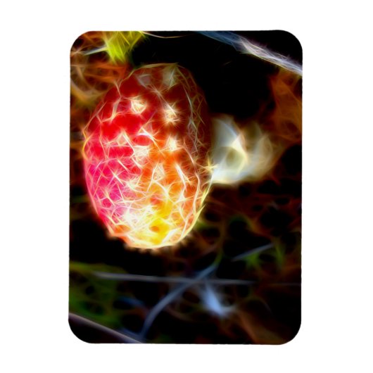 Elektrische Vlieg Agarisch Koelkast Magneet (Amani (Verticaal)