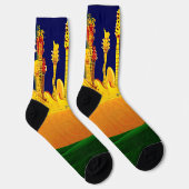 ELEKTRISCHE ZONSONDERGANG! SOKKEN (Rechts)