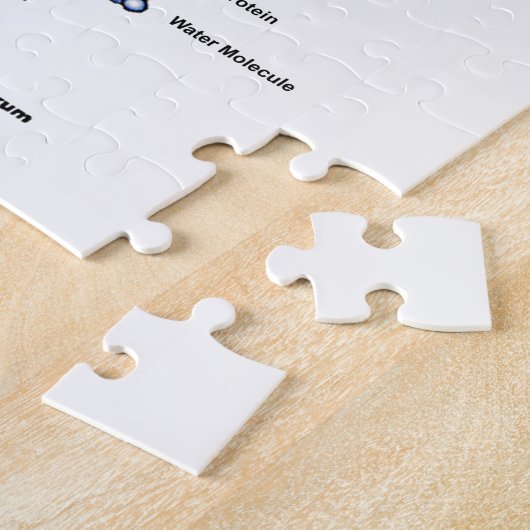 Elektromagnetisch spectrum (golflengte-vergelijkin legpuzzel (Zijkant)