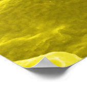 Elektron-micrograaf met Salmonella typhimurium Poster (Hoek)