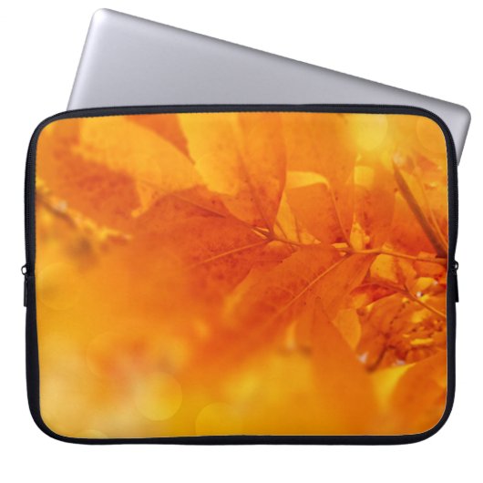 Elektronica Tas Gekleurde Herfst Glow Leafs (Voorkant)