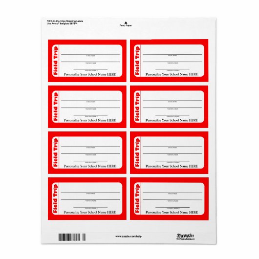 Elementaire of peuter-schoolse veldreislabels etiket (Full Sheet)