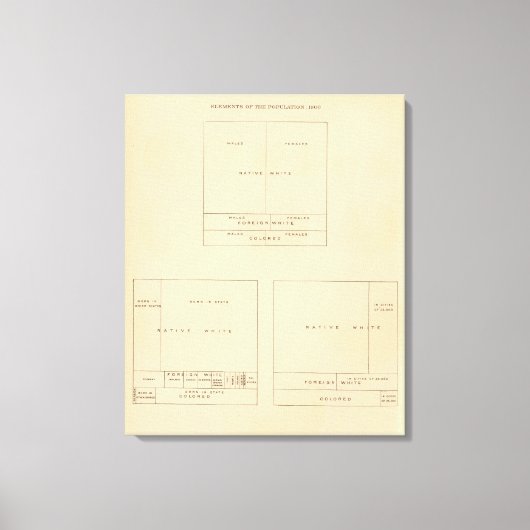 Elementen van de bevolking 1900 canvas afdruk (Voorkant)