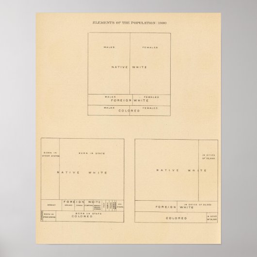 Elementen van de bevolking 1900 poster (Voorkant)