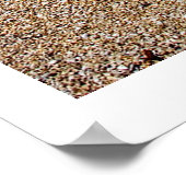 Elementen van de natuur - Driftwood Beach Poster (Hoek)