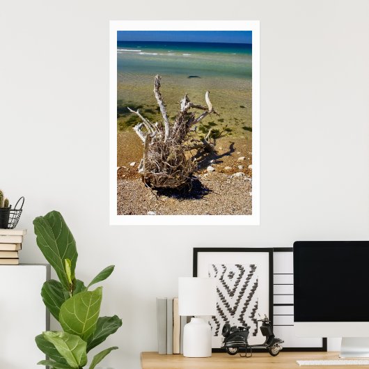 Elementen van de natuur - Driftwood Beach Poster (Thuiskantoor)